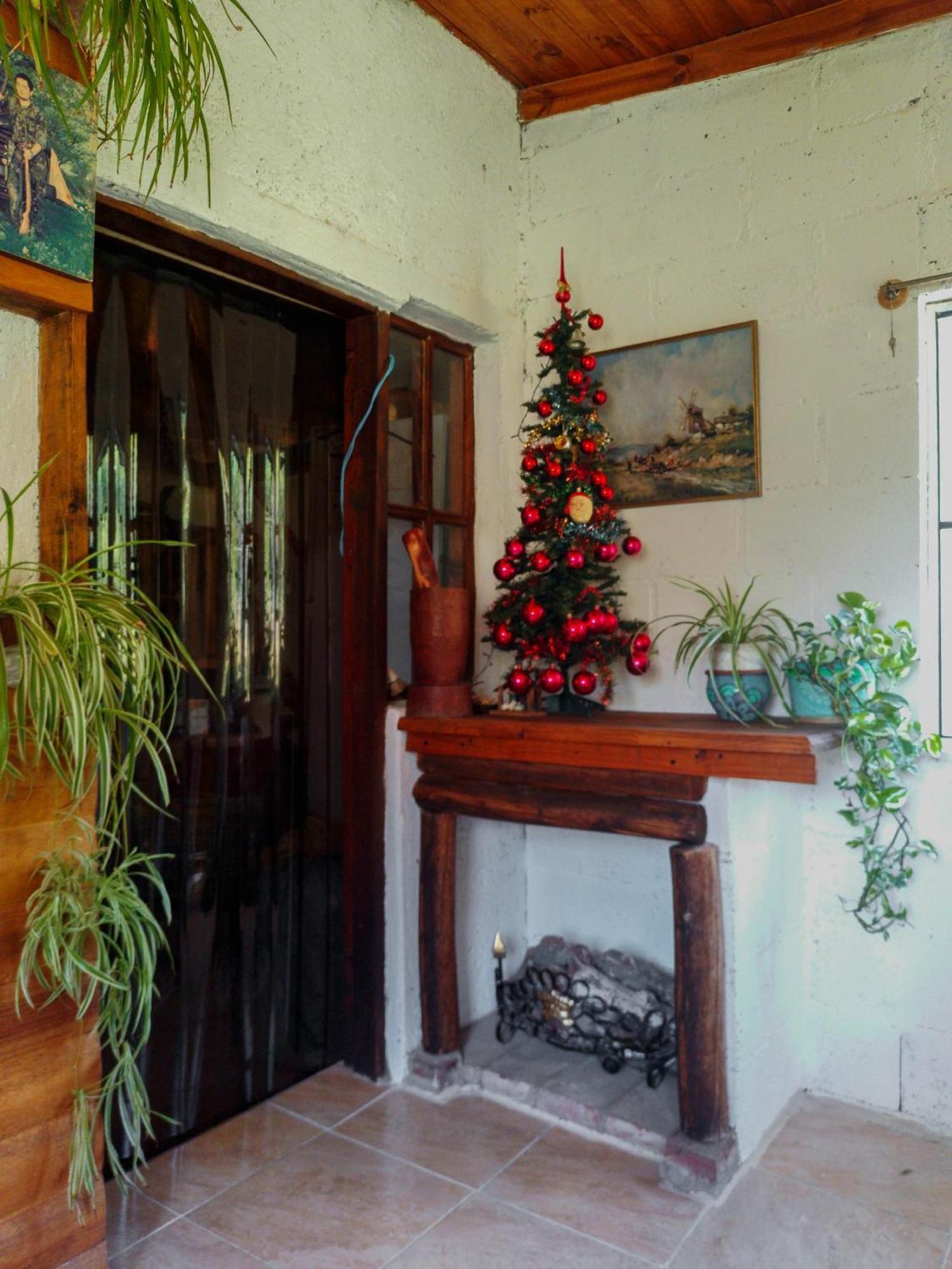 Apartment Casa Vd